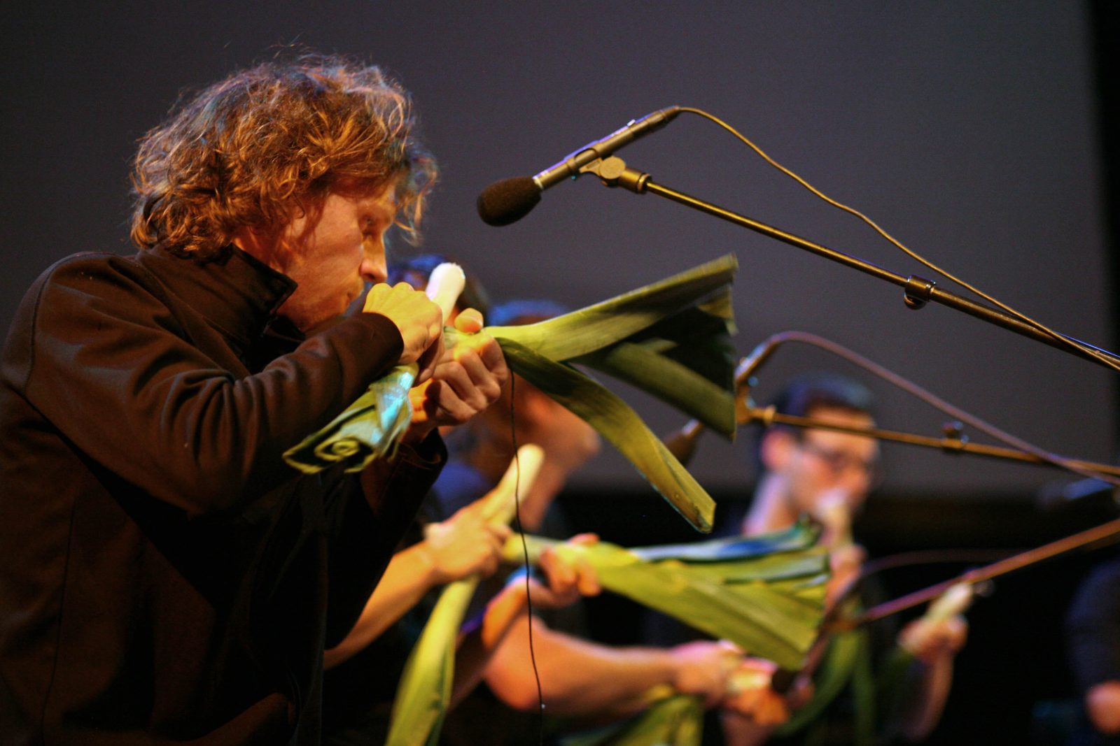 A VO 2008 credit Heidrun Henke 1 1