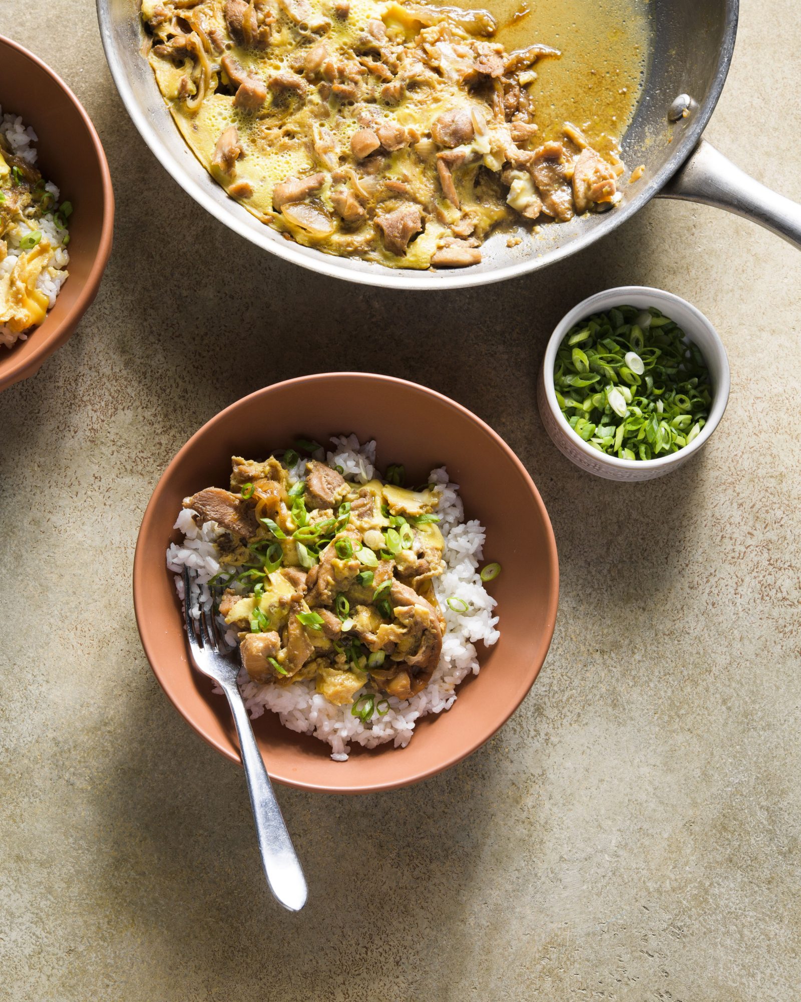 Japanese style chicken egg omelet over rice v