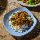 Peking Style Shredded Pork Stir Fry