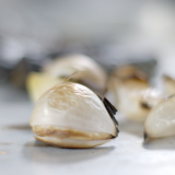 Take a bite out of garlic Hero Image