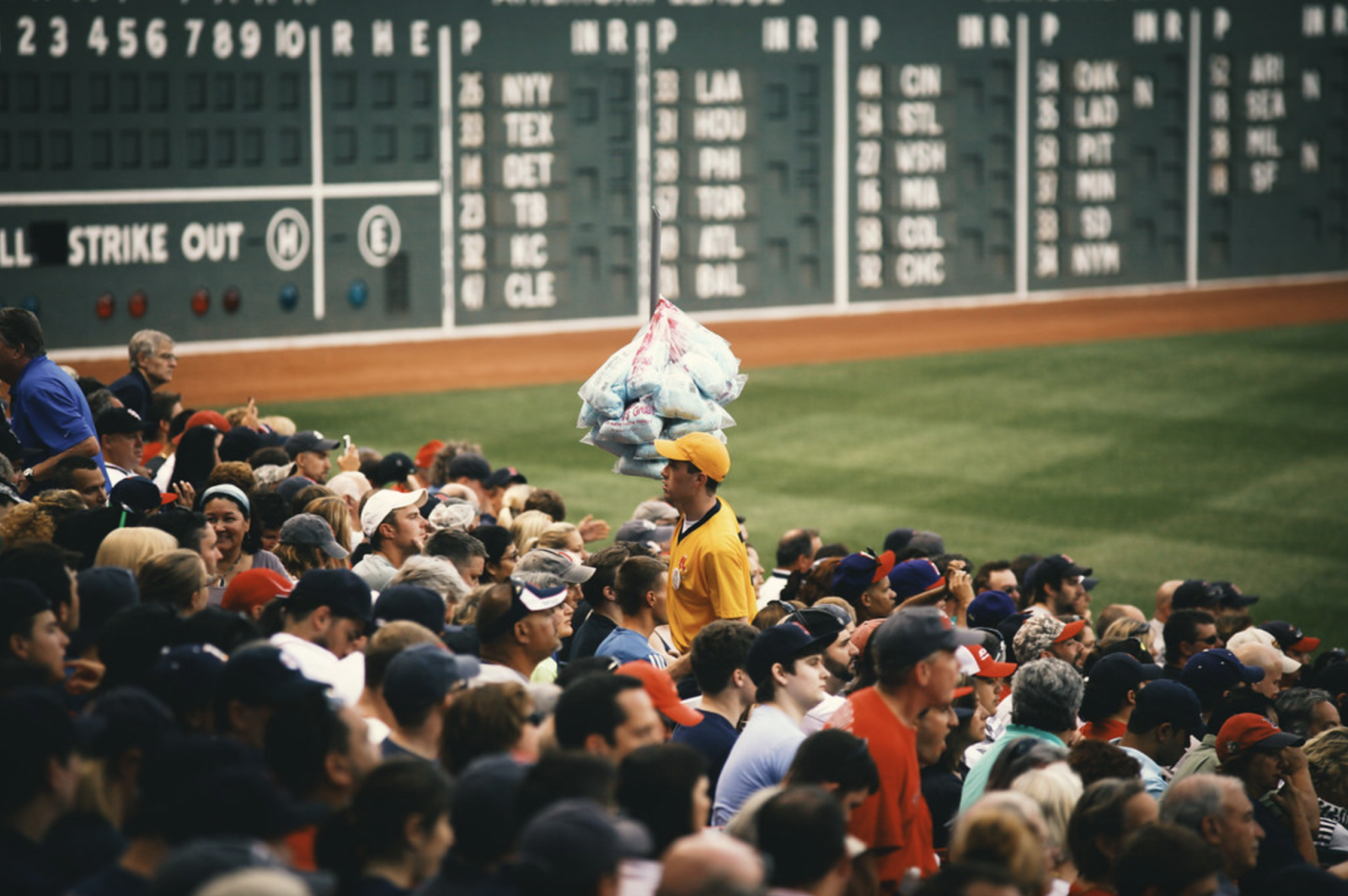 Fenway Drew Amy