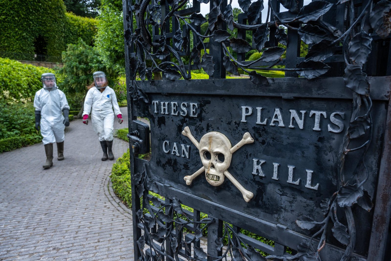 PW Gympie Gympie The Alnwick Garden 16