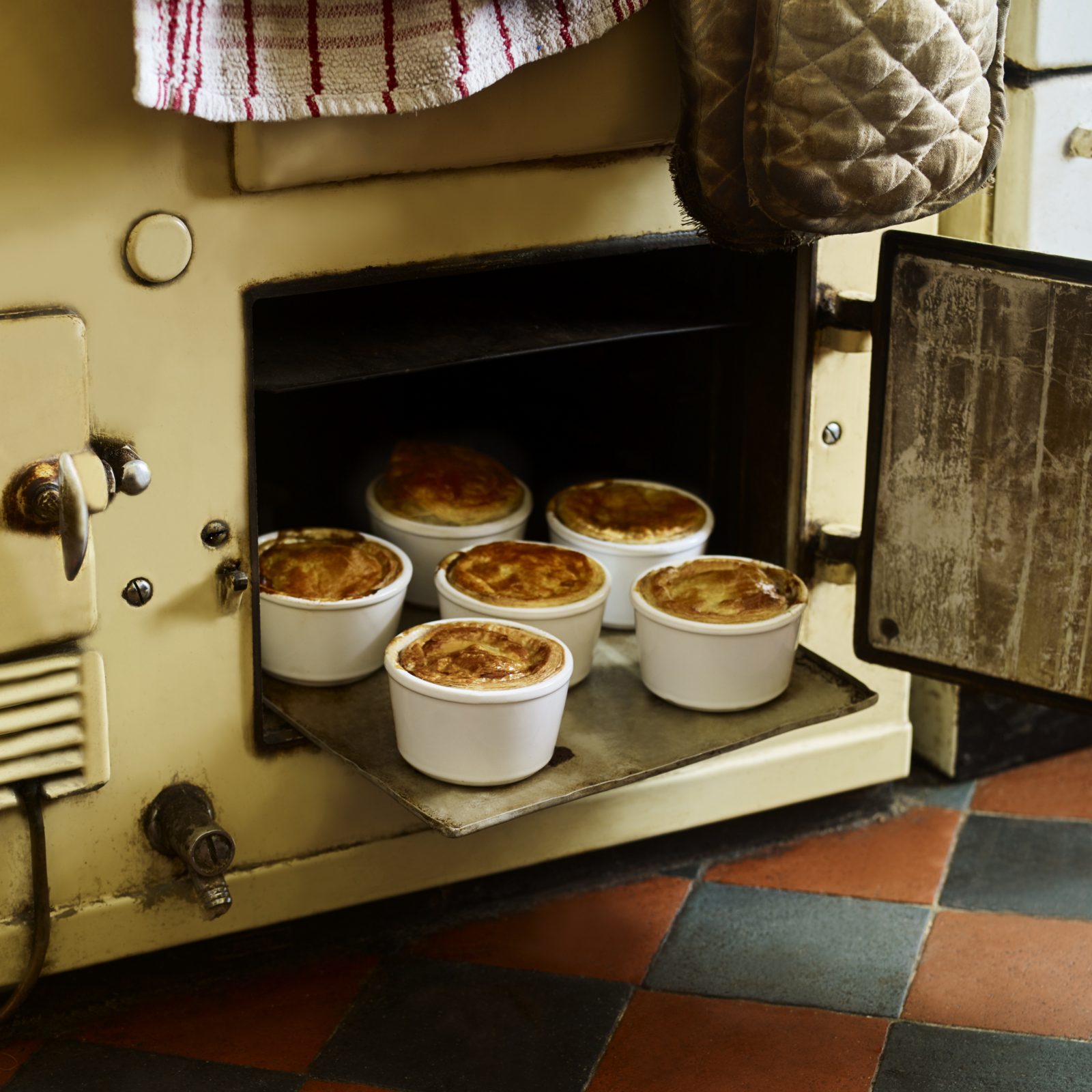Pheasant Duck Porcini and Chestnut Pot Pies