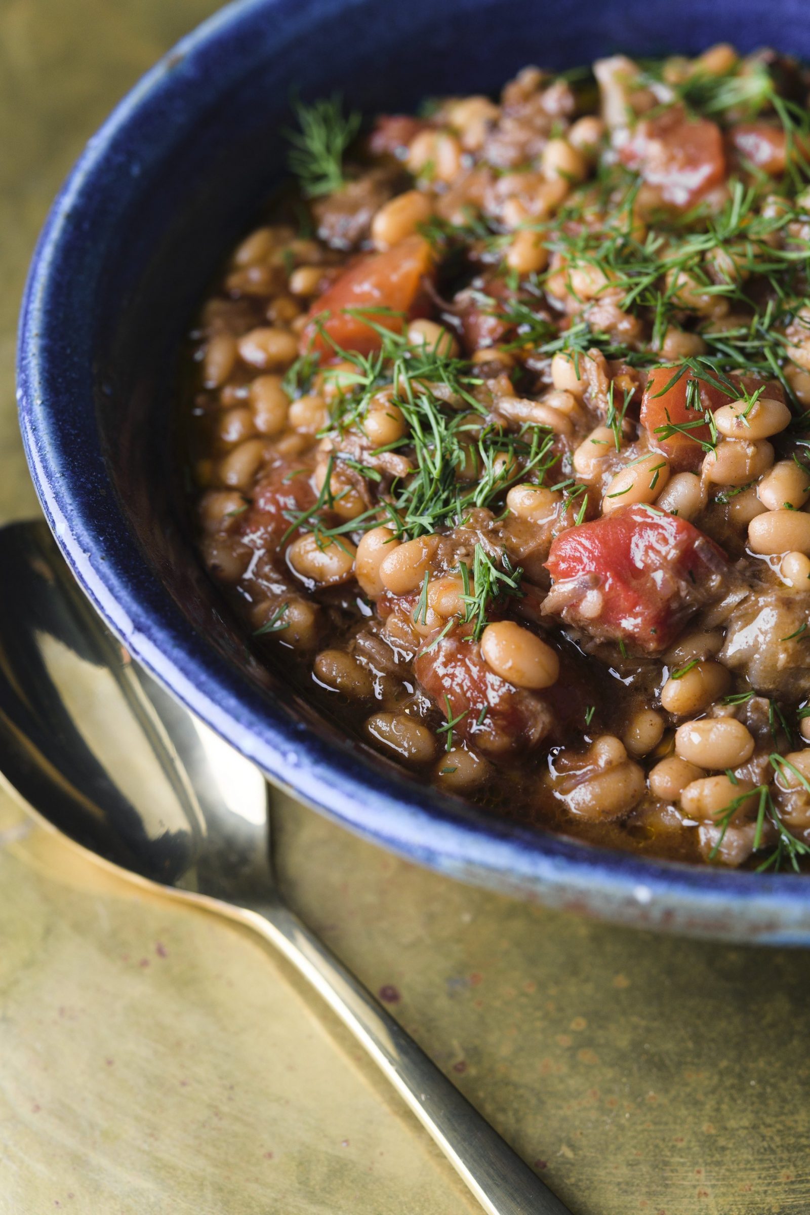 beef-white-bean-stew-fast-slow