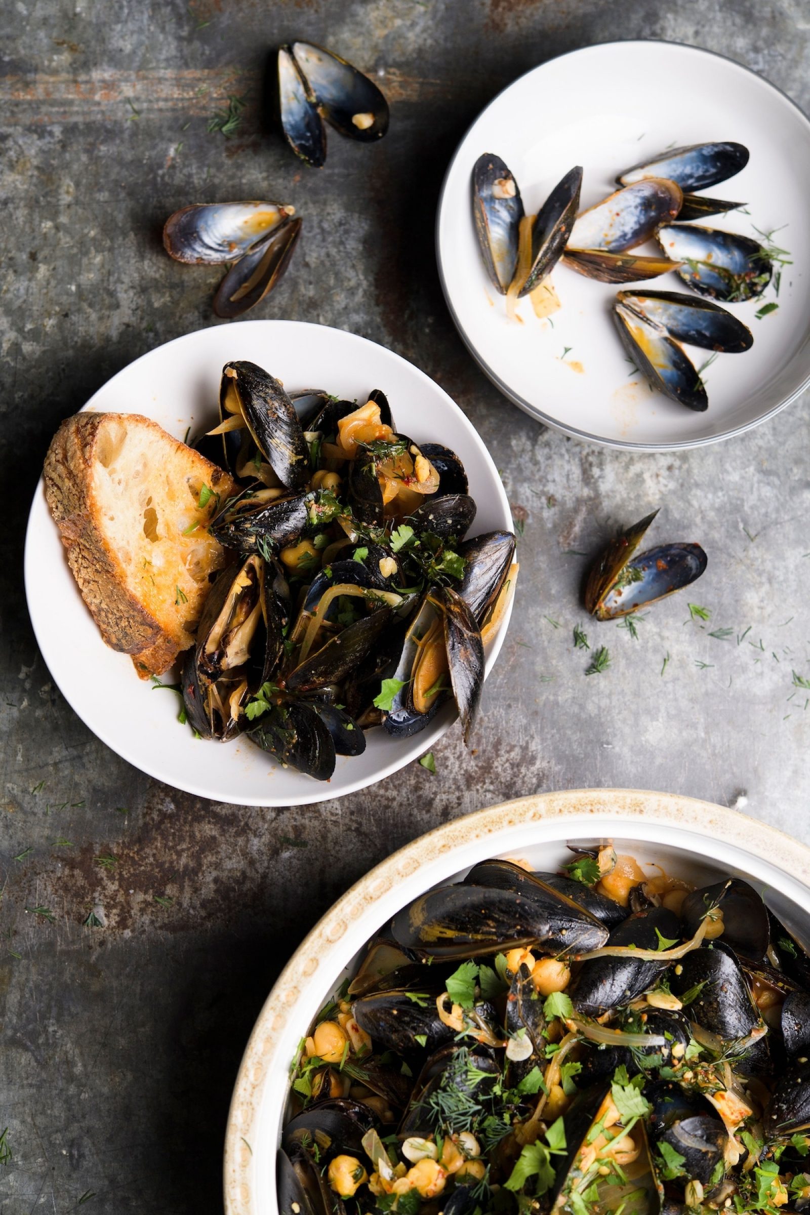 harissa-herb-steamed-mussels-v
