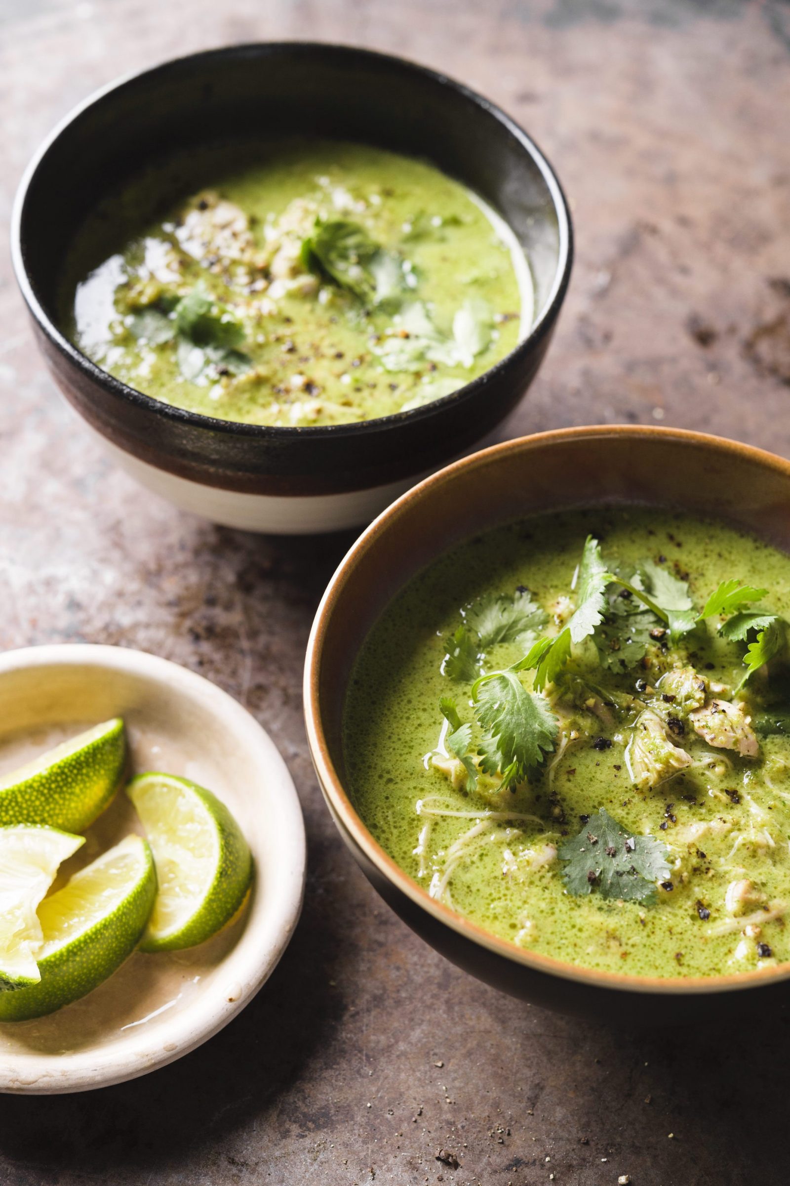 indian-chicken-cilantro-stew-fast-slow