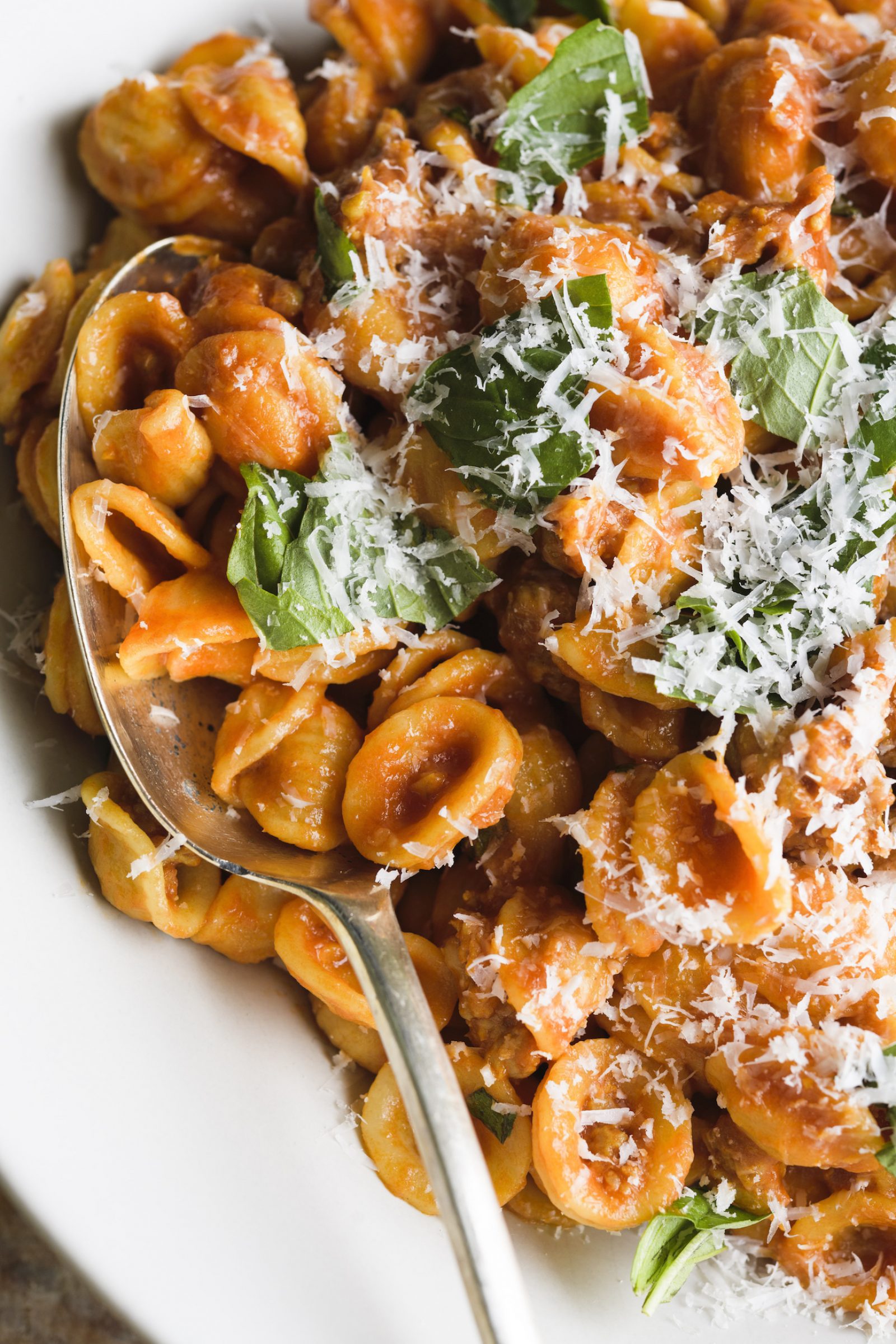 orecchiette-sardinian-sausage-ragu-fast-slow-v