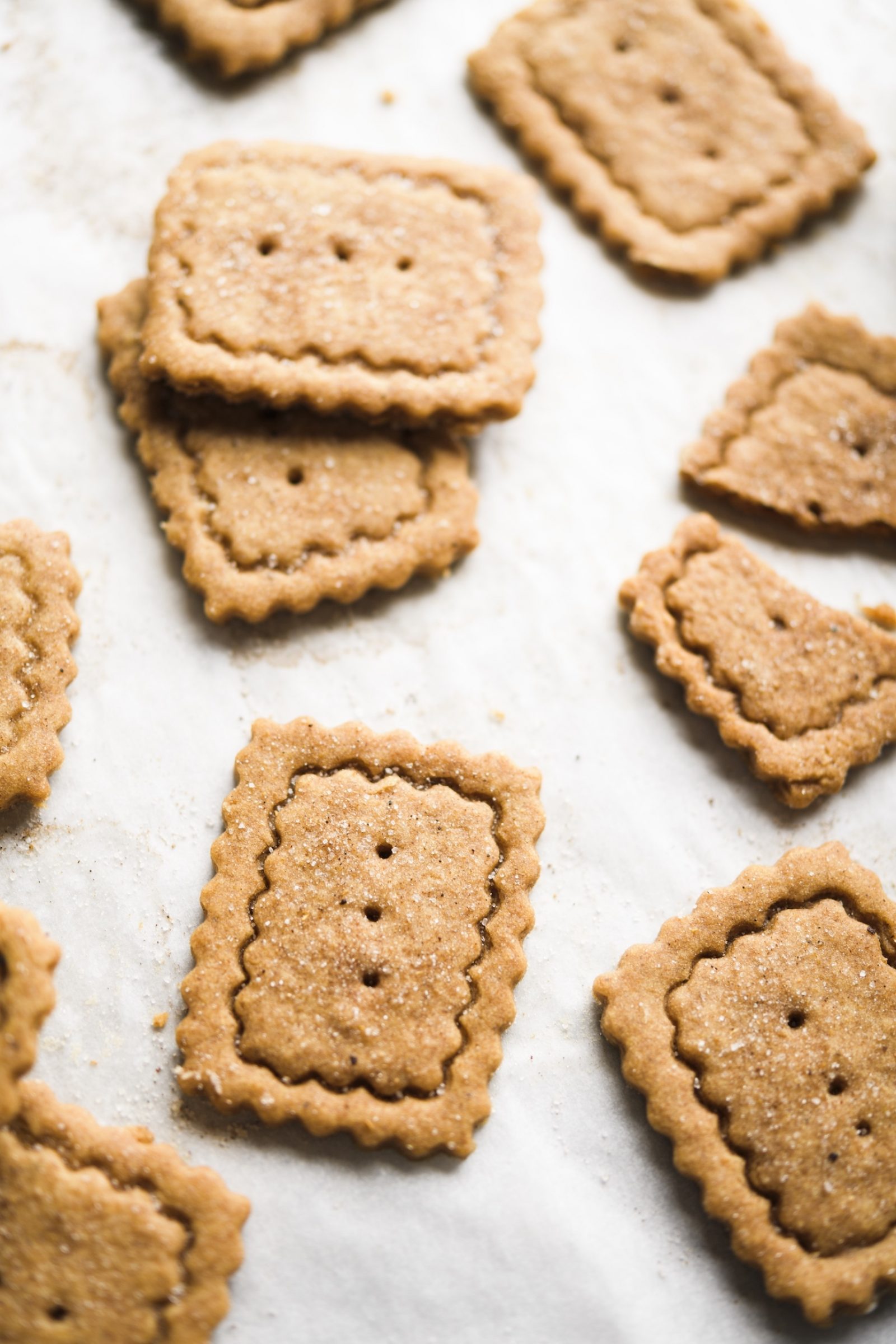 speculoos-v
