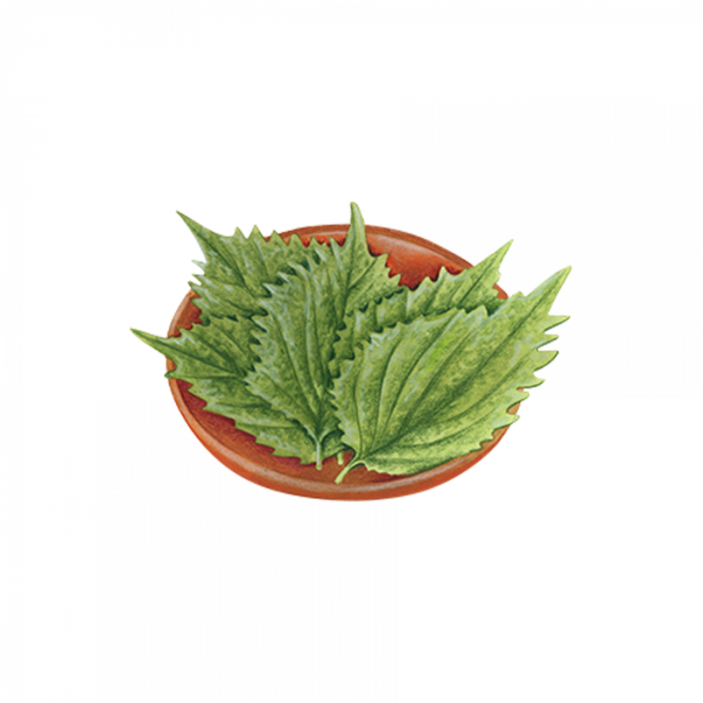 Asian Herbs 2