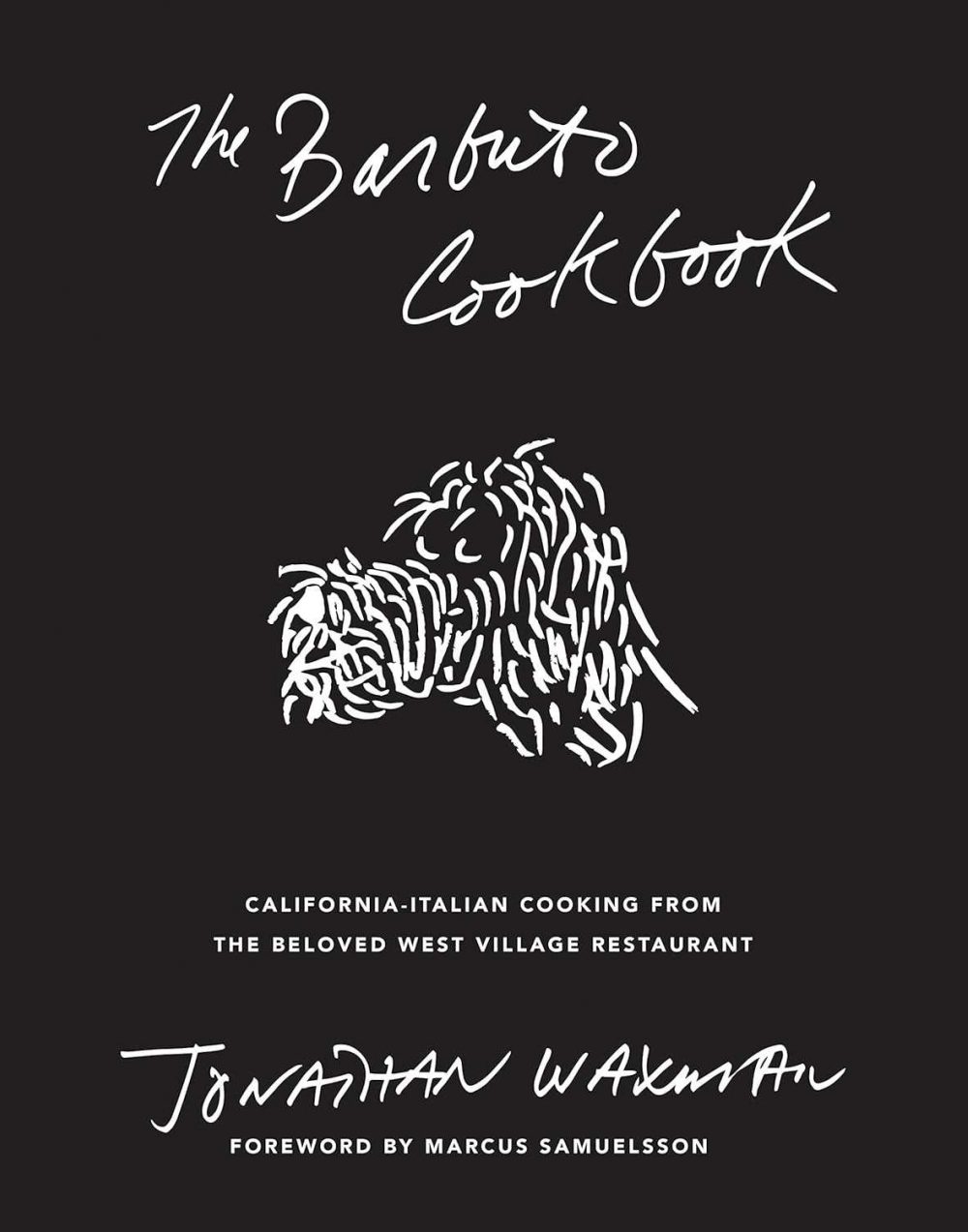Book Review i47 Barbuto