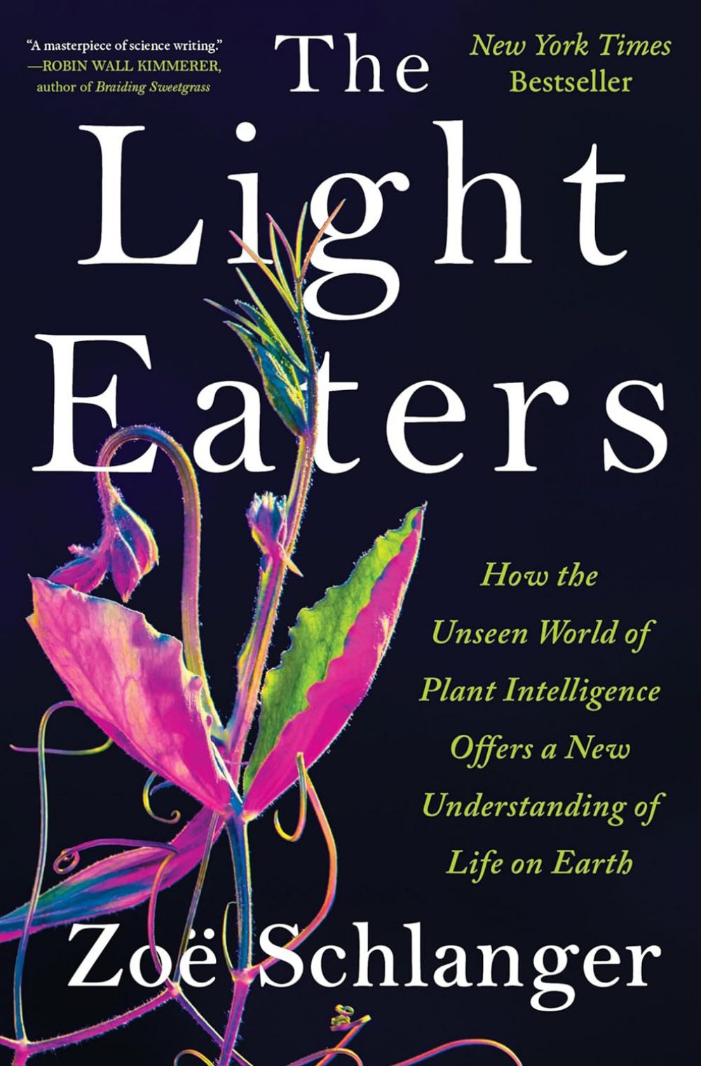 Book Review i48 The Light Eaters