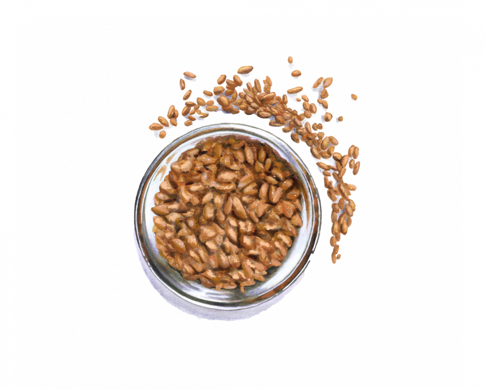 Bulgur