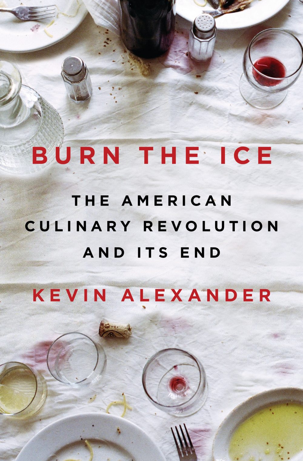 Burn The Ice