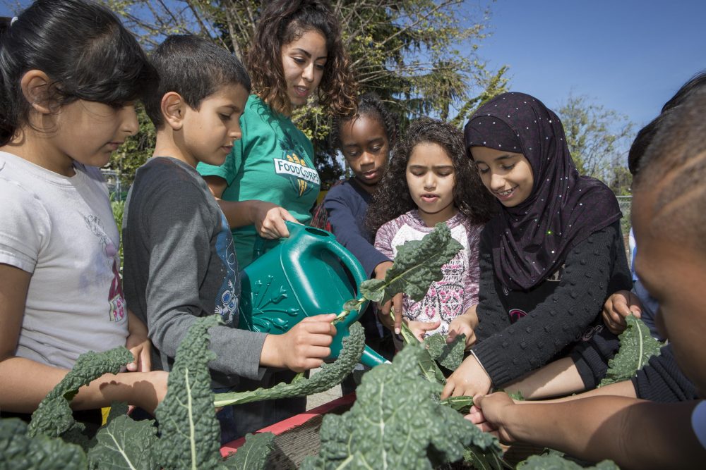 CA Oakland MLK Jr Elementary School SM Kimberly Miramontes