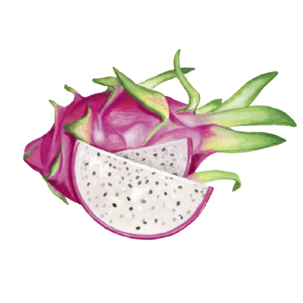 DRAGON FRUIT