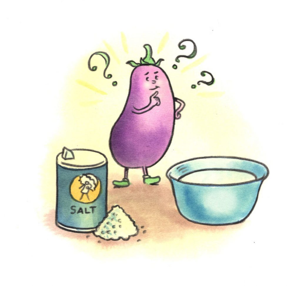 EGGPLANT final opt