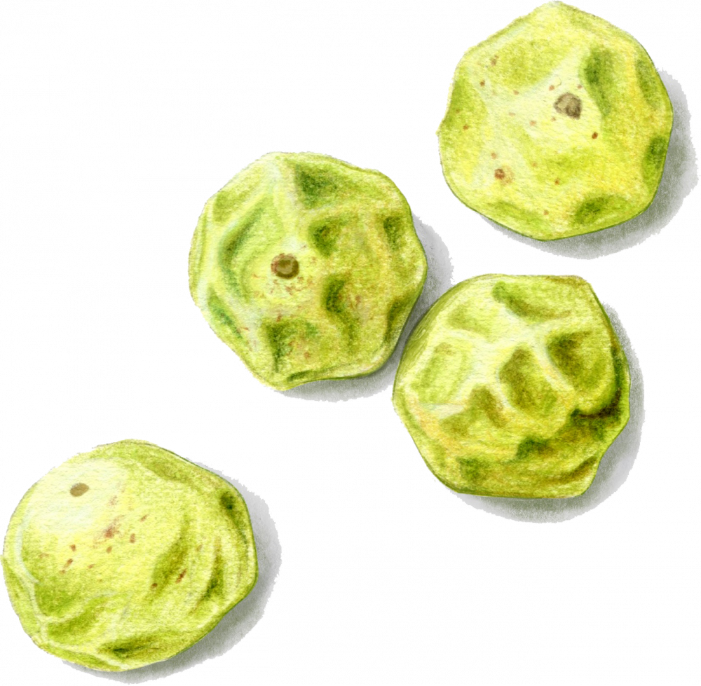 Green Peppercorns