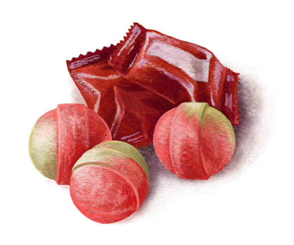 Illustration i46 Tomato Ame