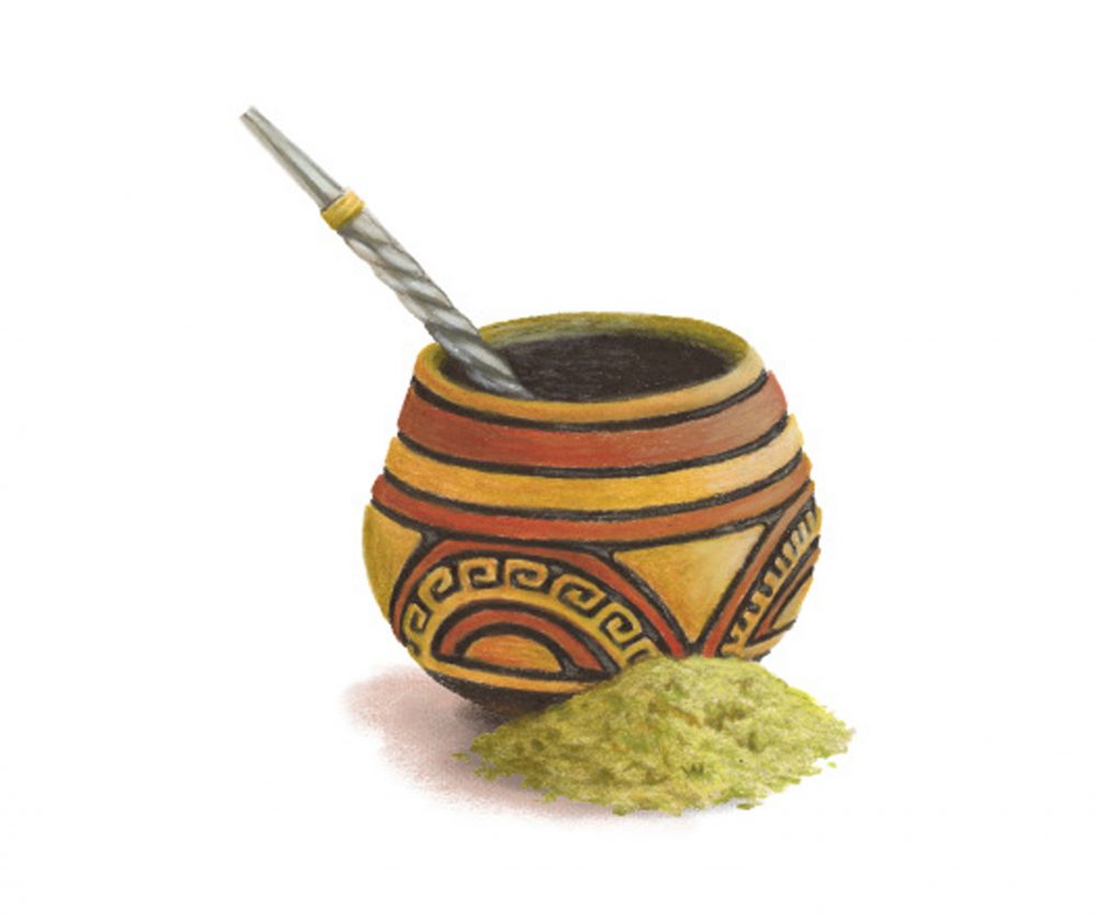 Illustration i47 Yerba Mate Gourds