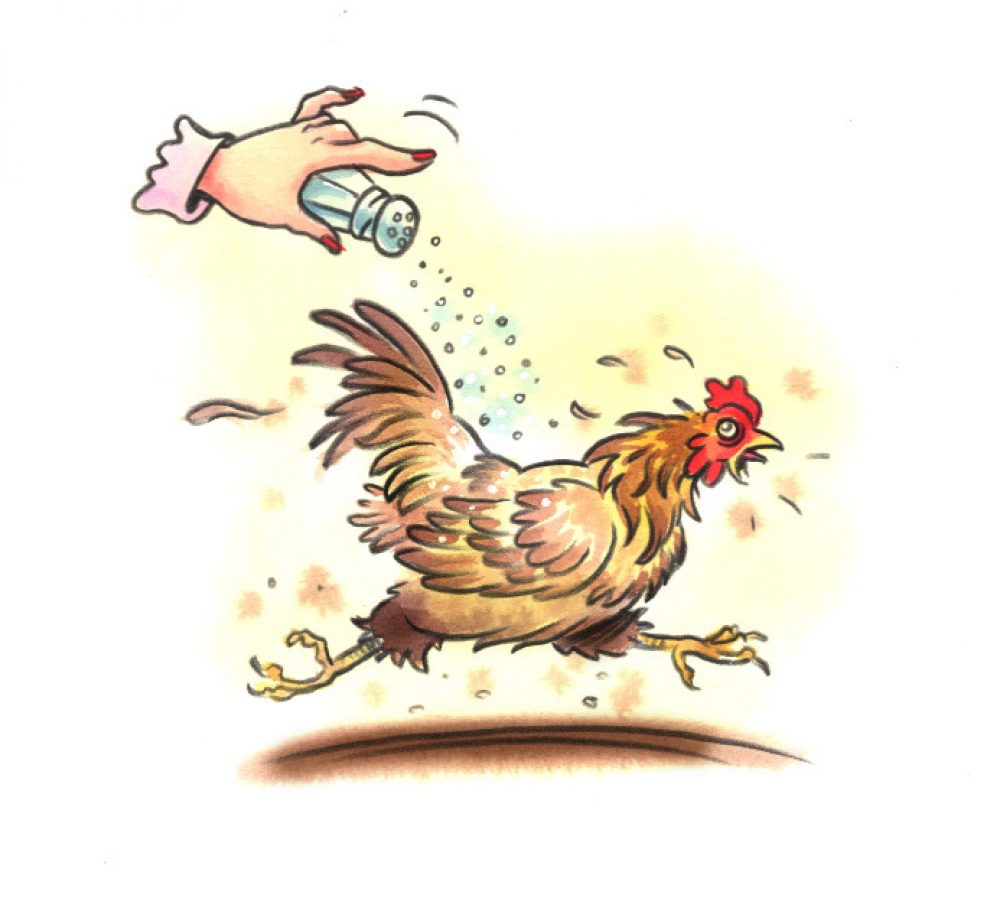 Insider i44 Chicken