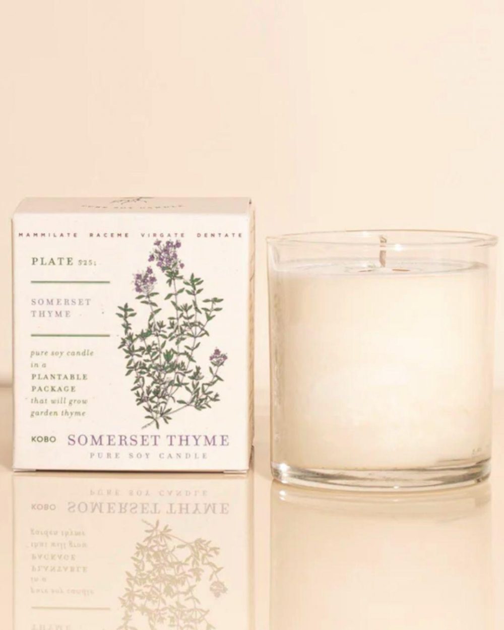 Kobo 22 Plant the Box22 Candles Somsert Thyme Blog