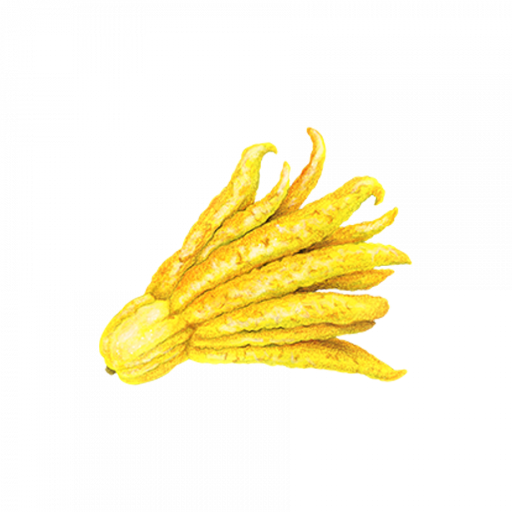Layer 5