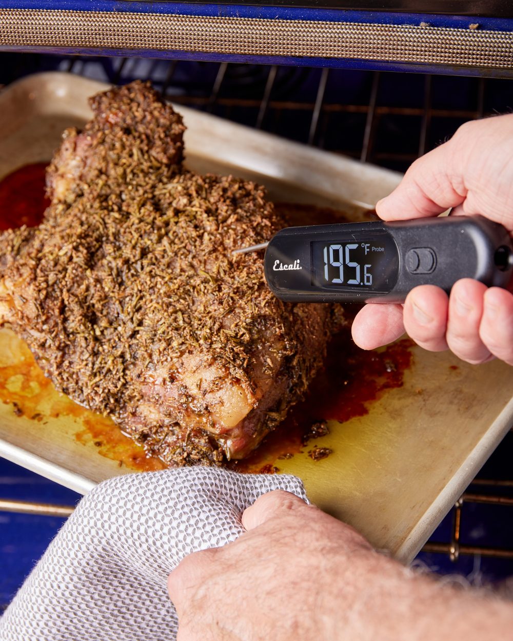 Pork Shoulder i42 Thermometer