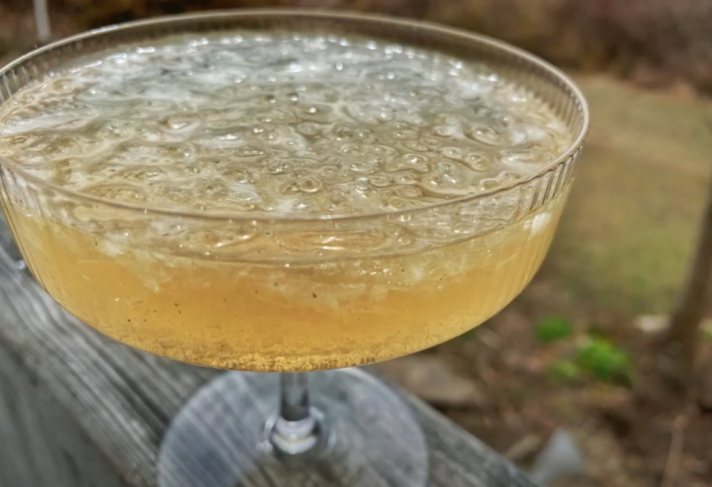 Speed Cocktail Infusions