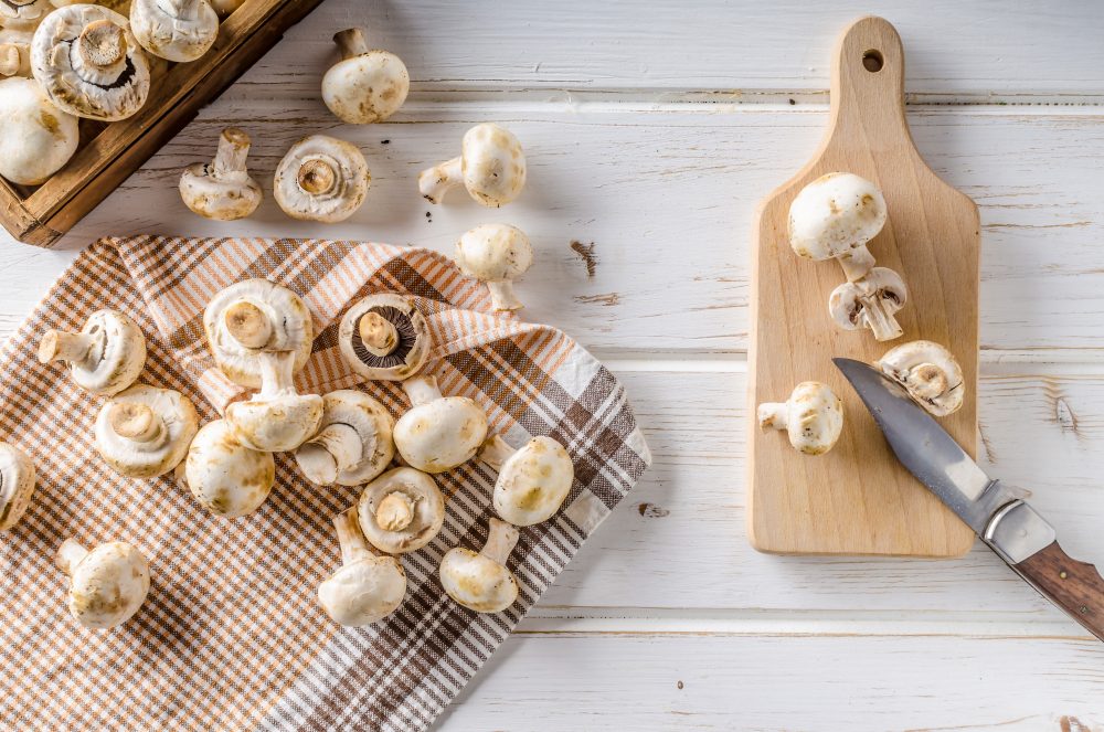 Stop Babying Your Mushrooms