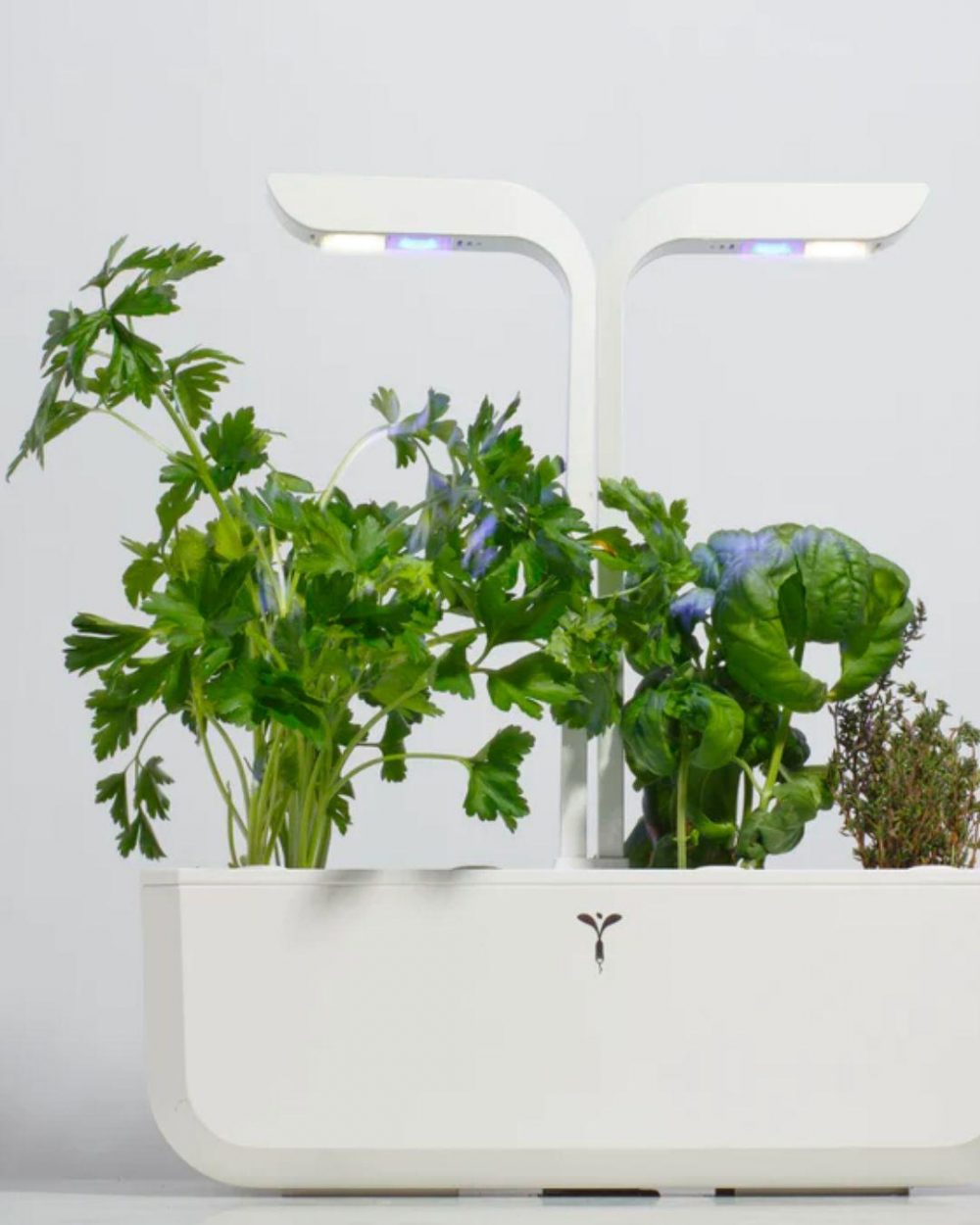 Veritable Garden Blog
