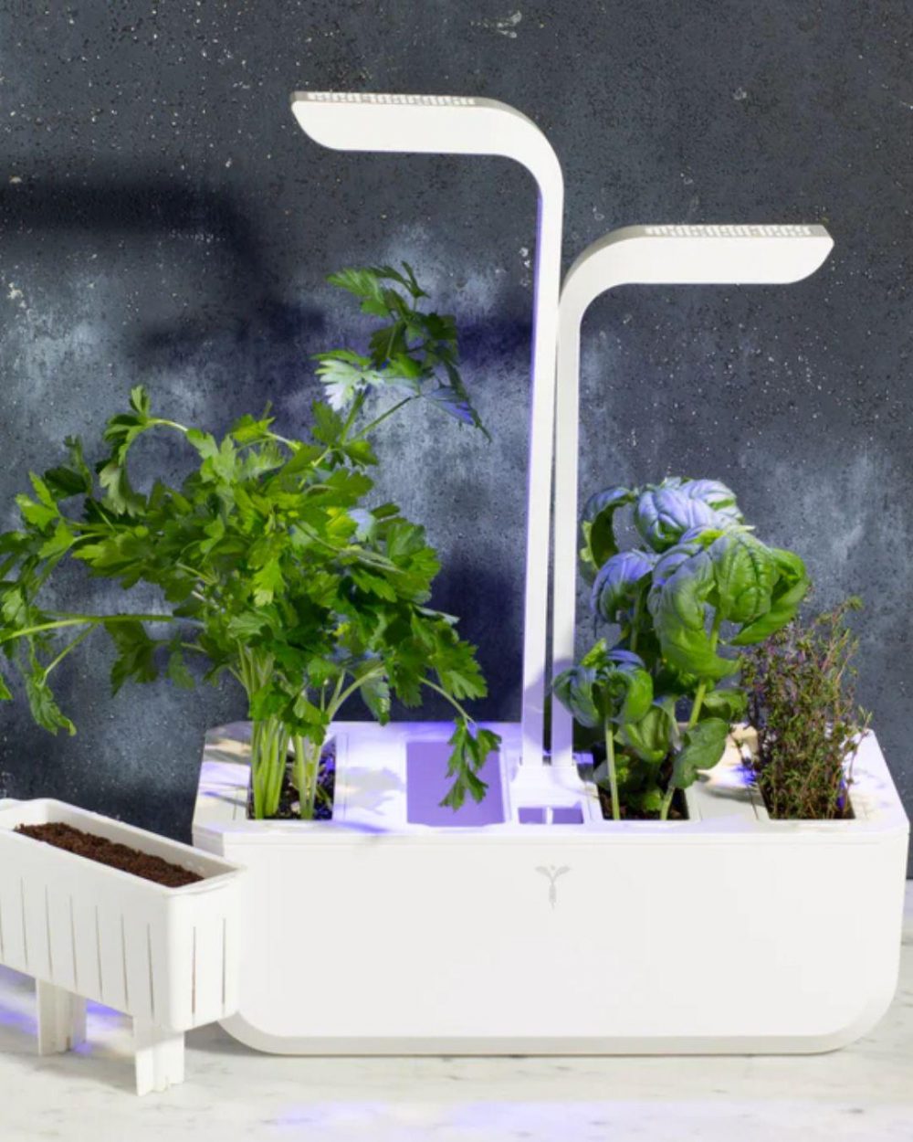 Veritable Garden
