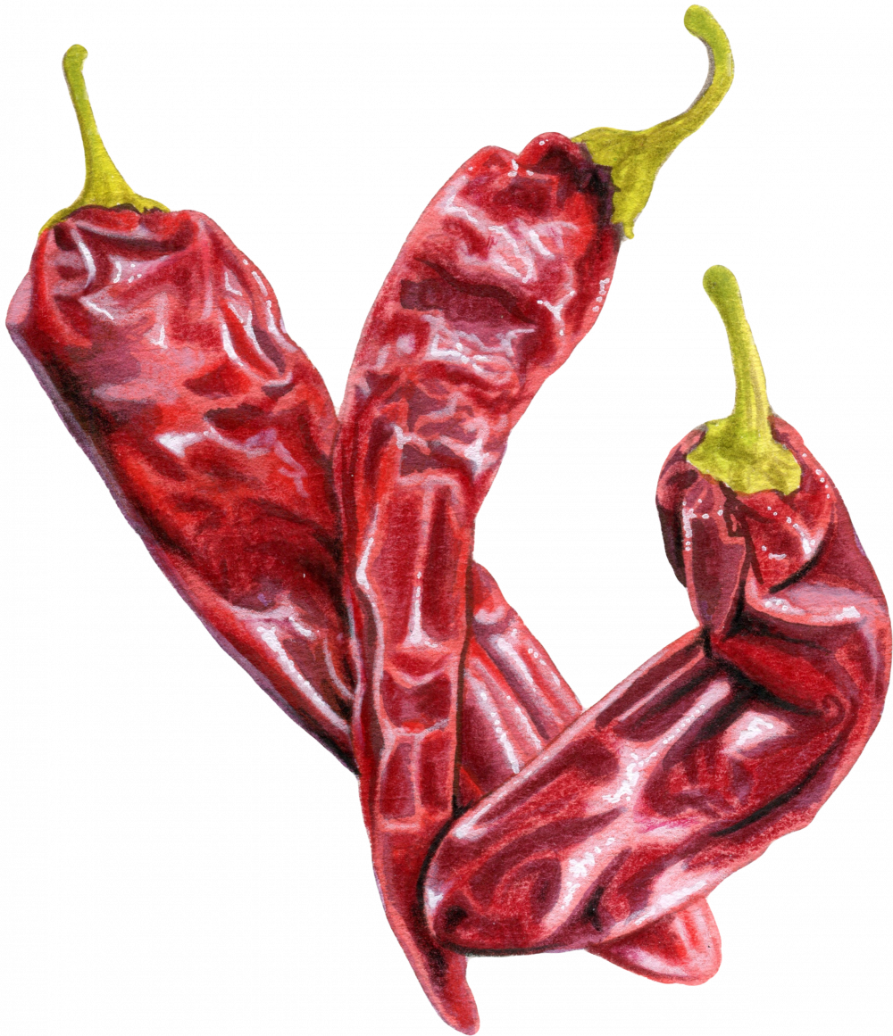 Chilli 1