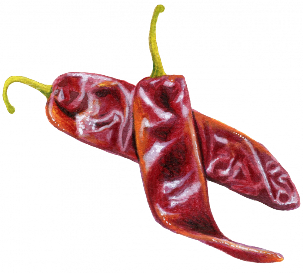 Chilli 4