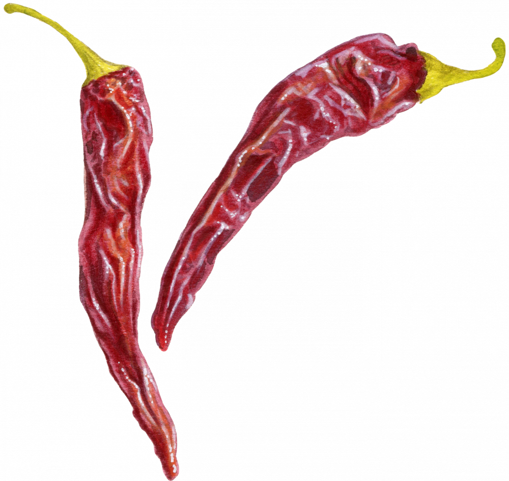 Chilli 5
