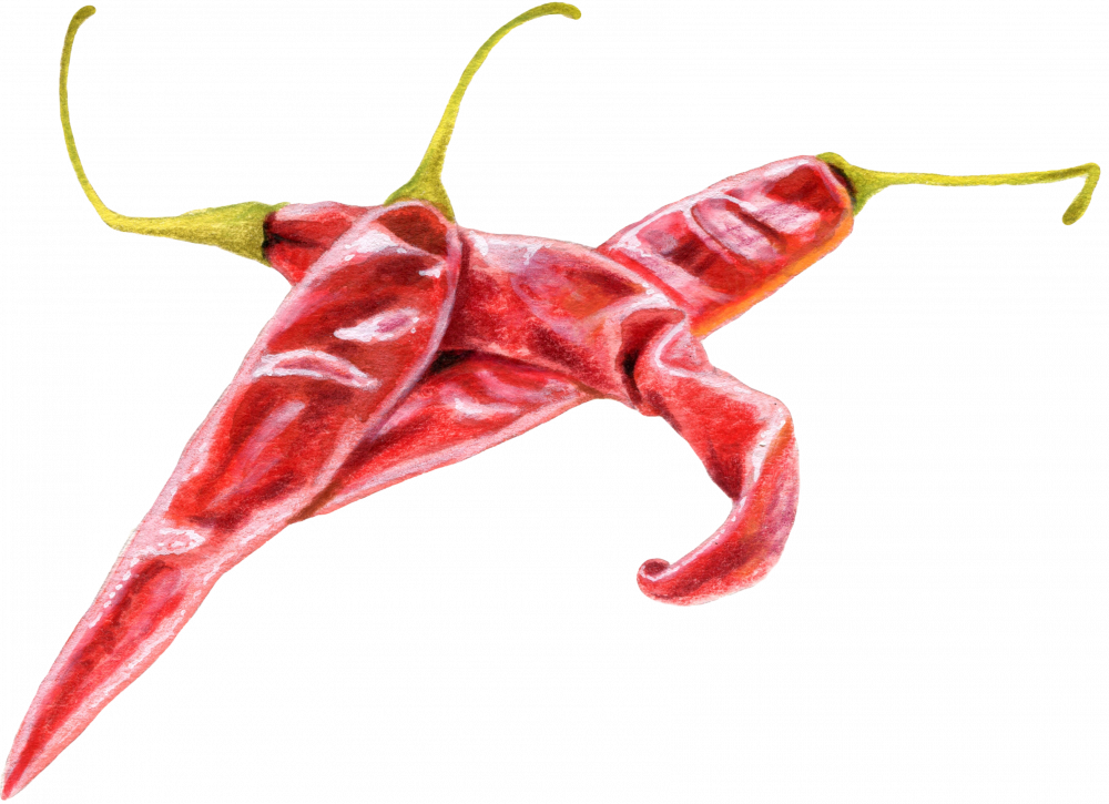 Chilli 6