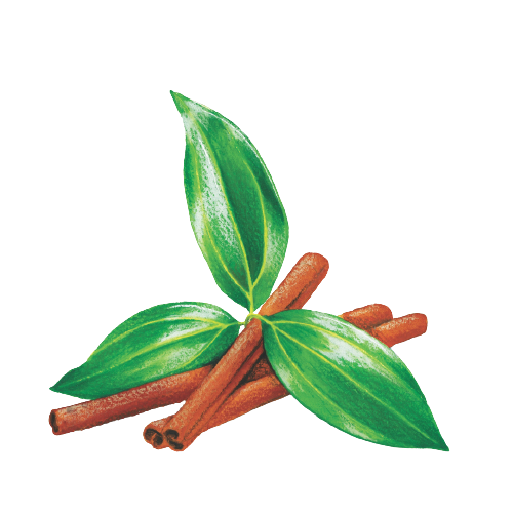 Cinnamon leaves