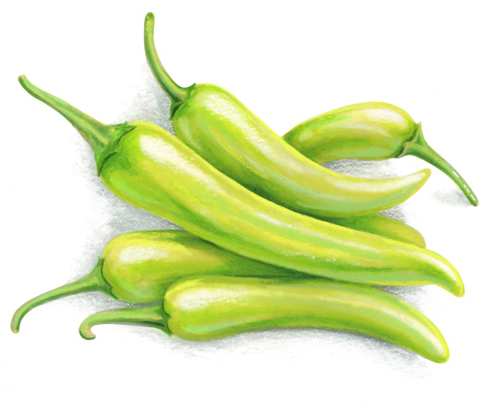 Fresh peppers hungarian wax