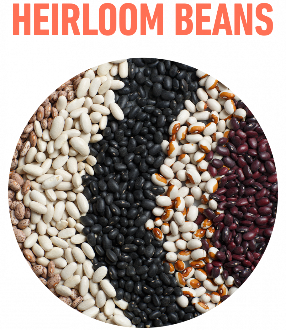 Heirloom beans rancho gordo 1