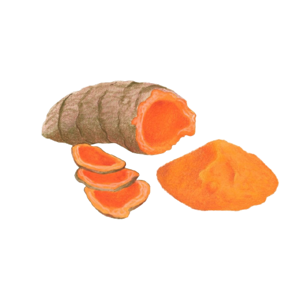 Turmeric