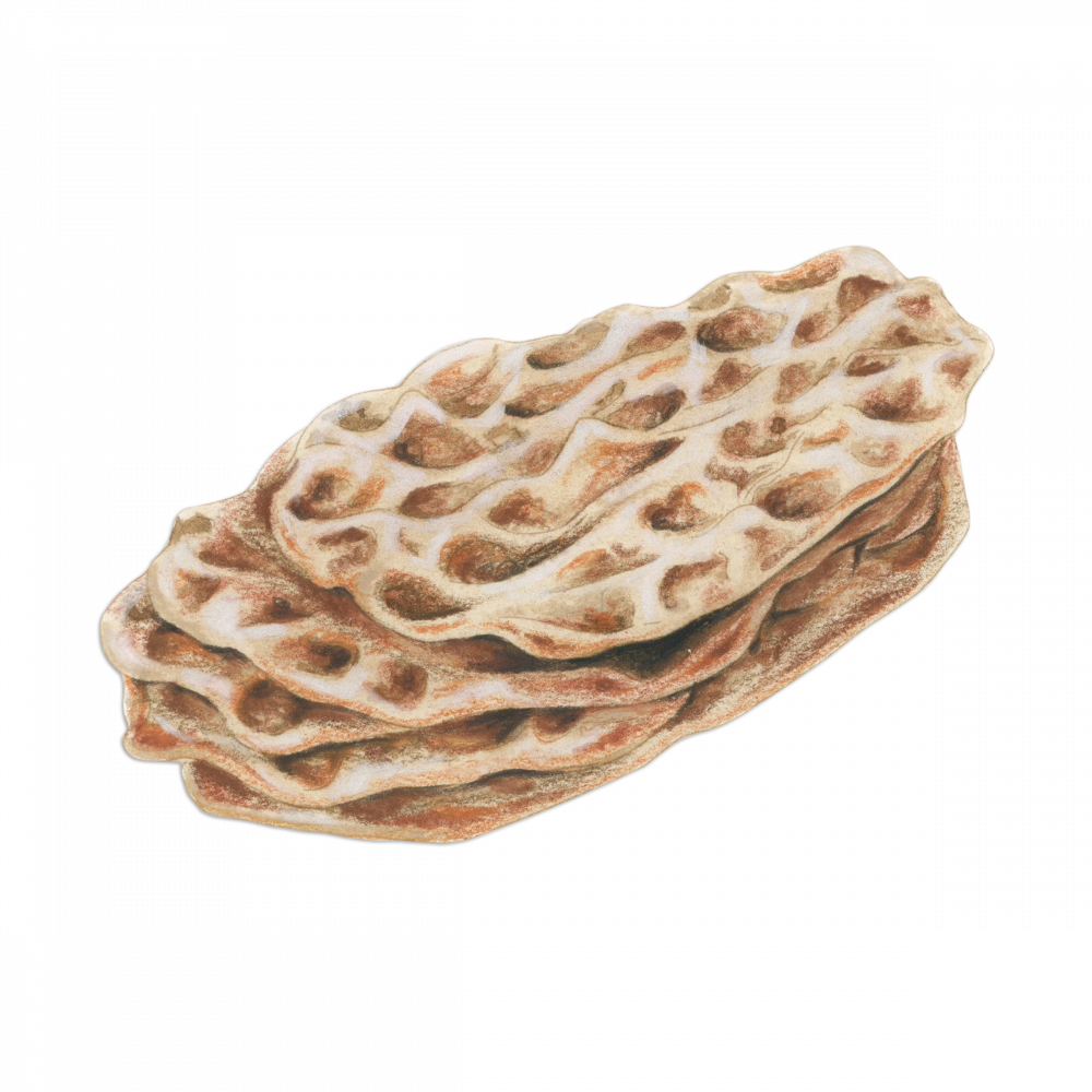 Layer 2 4