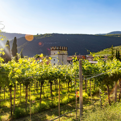 Trips - Emilia Romagna Italy