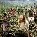 001 The Farm Sorghum Harvest