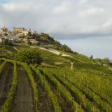 An Insider’s Guide to Eating and Traveling Italy