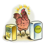 Chicken