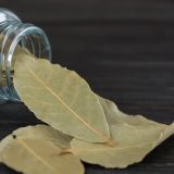 Christopher Kimballs Milk Street Bay Leaves