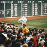 Fenway Drew Amy