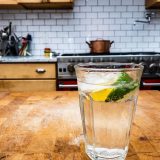 Gin and Tonic