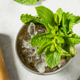 Make a Batch of Freezer Door Mint Juleps for Kentucky Derby Day 1