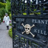 PW Gympie Gympie The Alnwick Garden 16