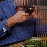 Pete Wells on Food Writing Loud Resturants and the bizarre magic of senor frogs